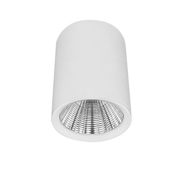 Lampara de techo LED de 10 cm, blanco cálido, 7 Watts, óptica 38°, cilíndrico, de sobreponer en techo, aluminio acabado blanco, 100-277V ca, protección IP20