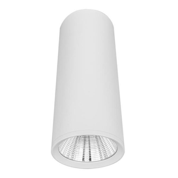 Lampara de techo LED de 20 cm, blanco cálido, 10 Watts, óptica 38°, cilíndrico, de sobreponer en techo, aluminio acabado blanco, 100-277V ca, protección IP20