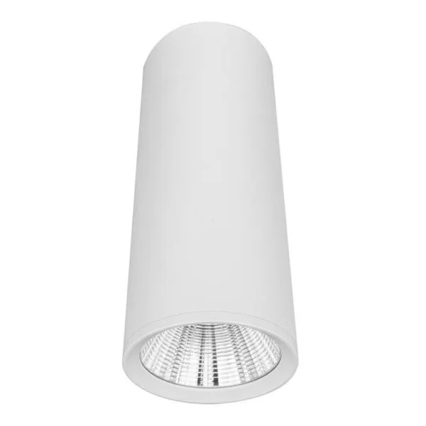 Lampara de techo LED de 20 cm, blanco cálido, 10 Watts, óptica 38°, cilíndrico, de sobreponer en techo, aluminio acabado blanco, 100-277V ca, protección IP20