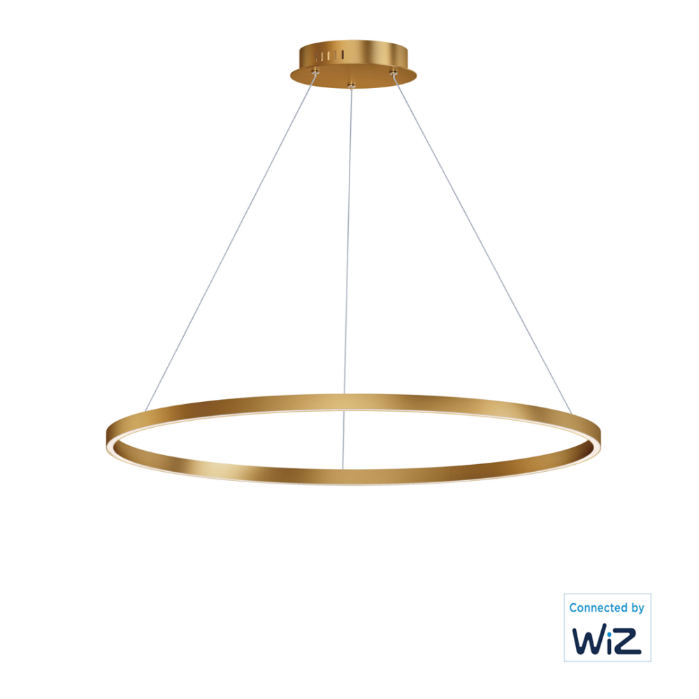 LAMPARA-COLGANTE-LED-1-ARO-E22728-GD-GROOVE