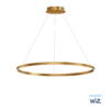 LAMPARA-COLGANTE-LED-1-ARO-E22728-GD-GROOVE